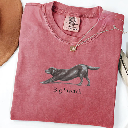 Big Stretch Chocolate Labrador Tee