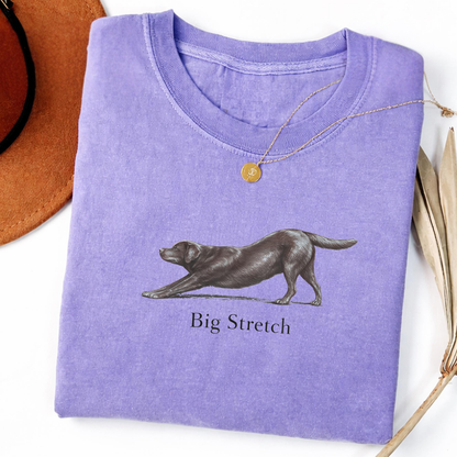 Big Stretch Chocolate Labrador Tee