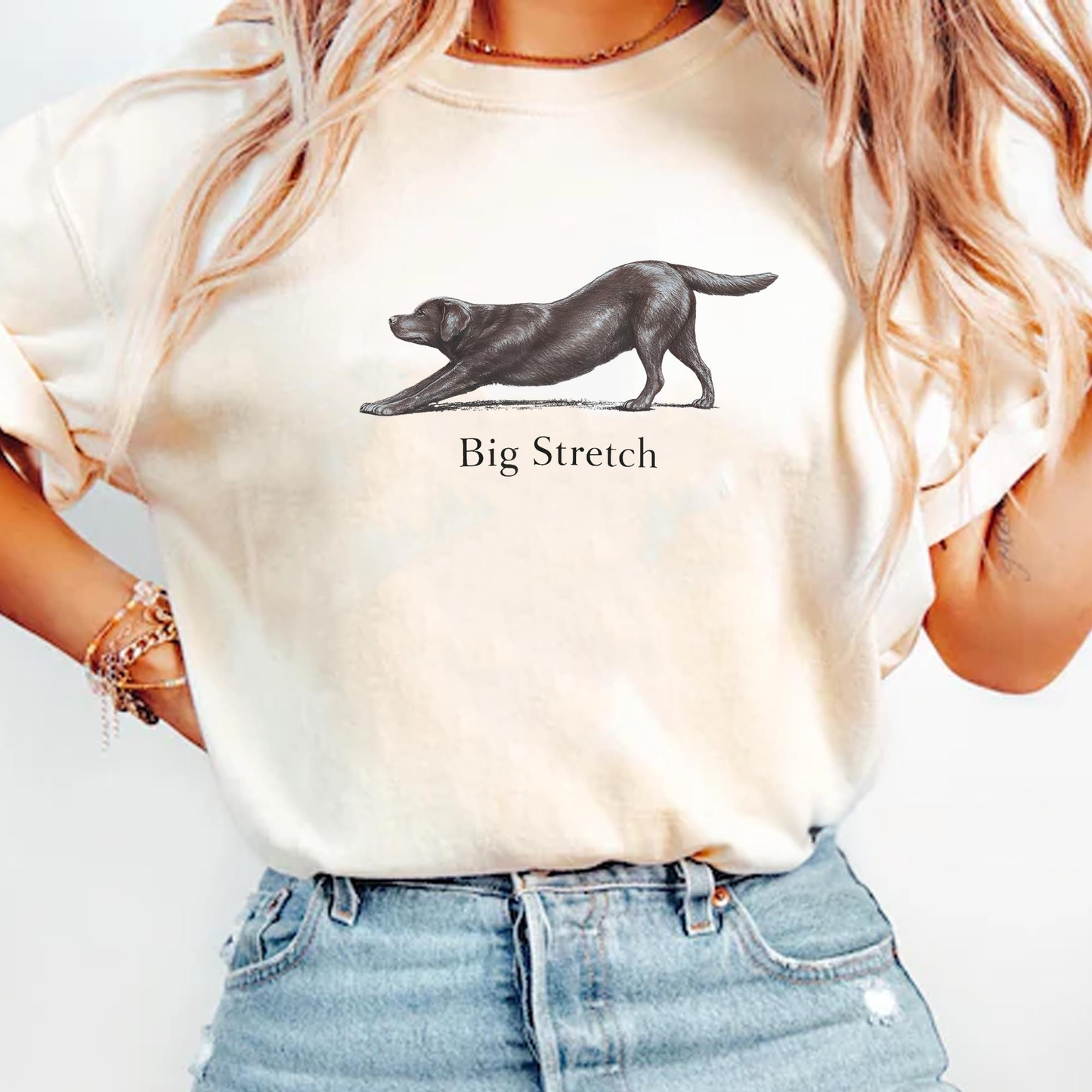 Big Stretch Chocolate Labrador Tee