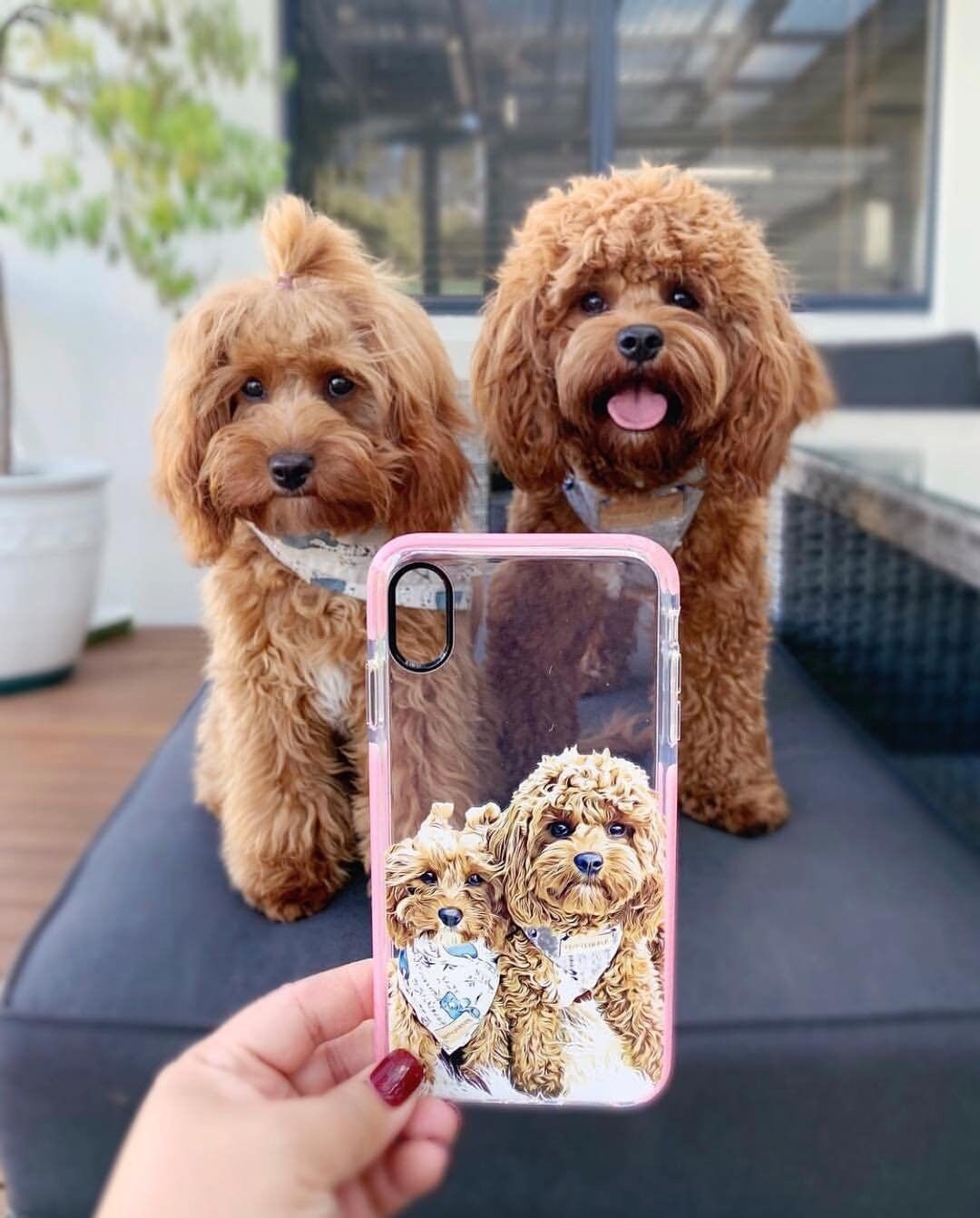 My Dog Phone Case