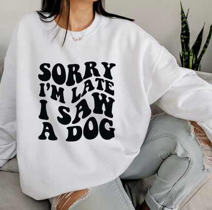 I Saw A Dog Sweater V3