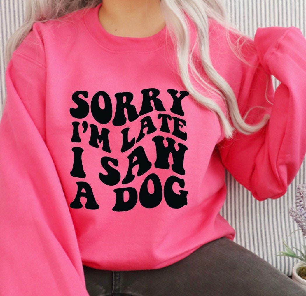 I Saw A Dog Sweater V3