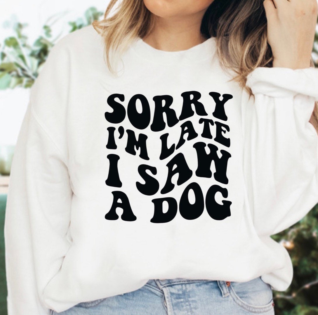 I Saw A Dog Sweater V3
