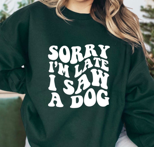 I Saw A Dog Sweater V3