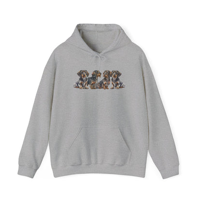 Wirehaired Dachshund Hoodie