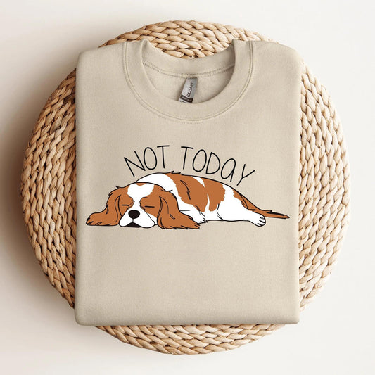 Not Today Sweatshirt 3