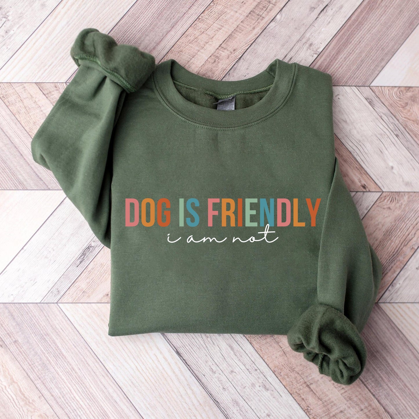 Dog Is Friendly Sweater V2