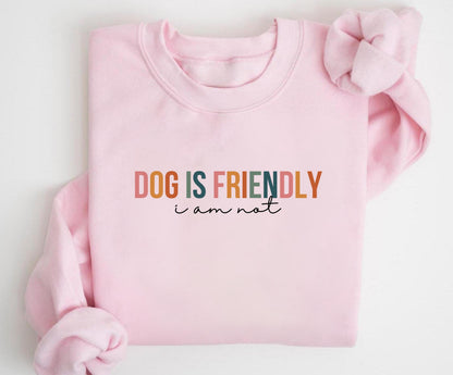 Dog Is Friendly Sweater V2