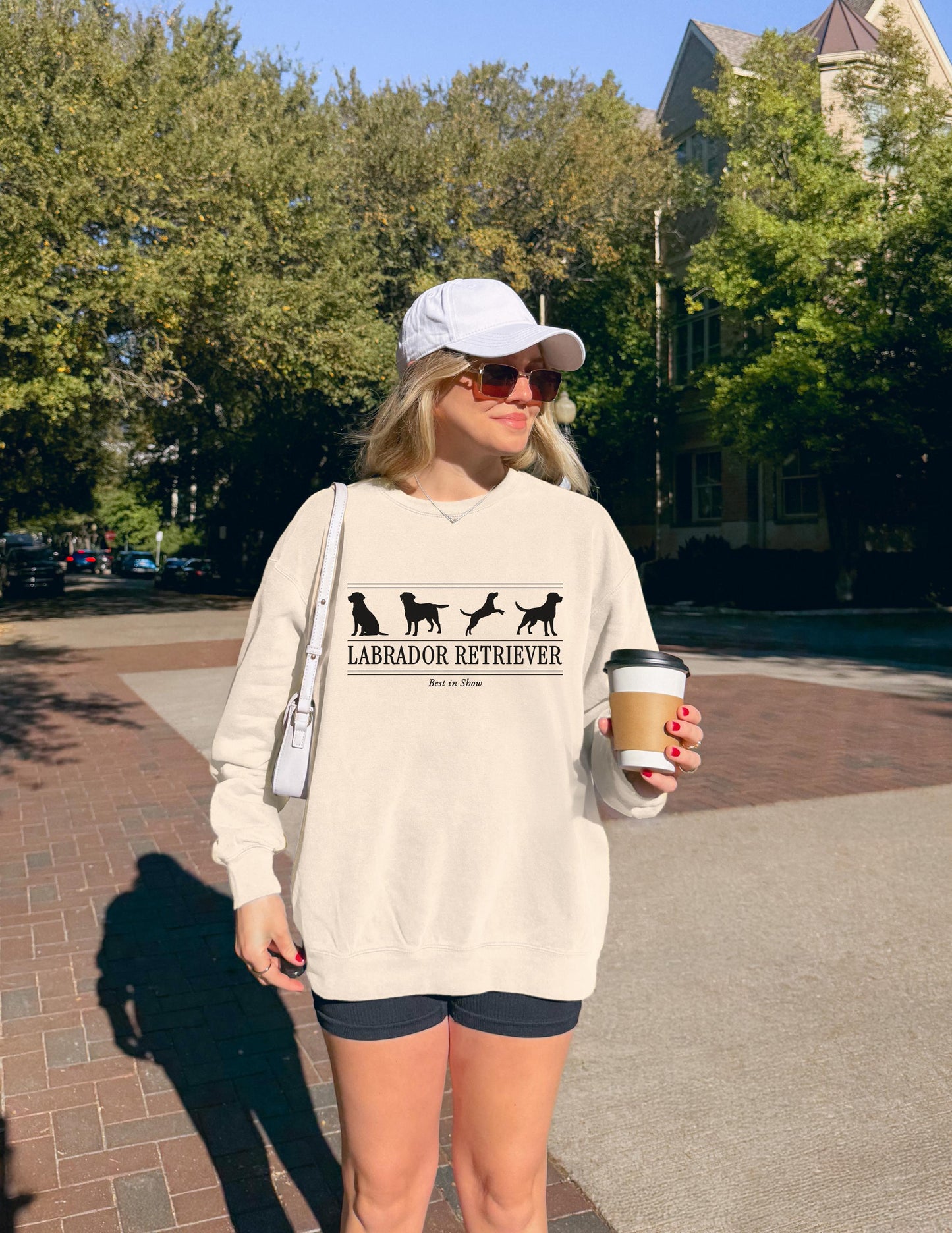Labrador Retriever Sweater V5