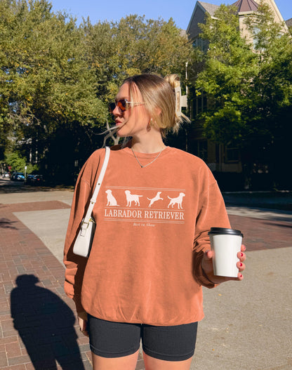 Labrador Retriever Sweater V5