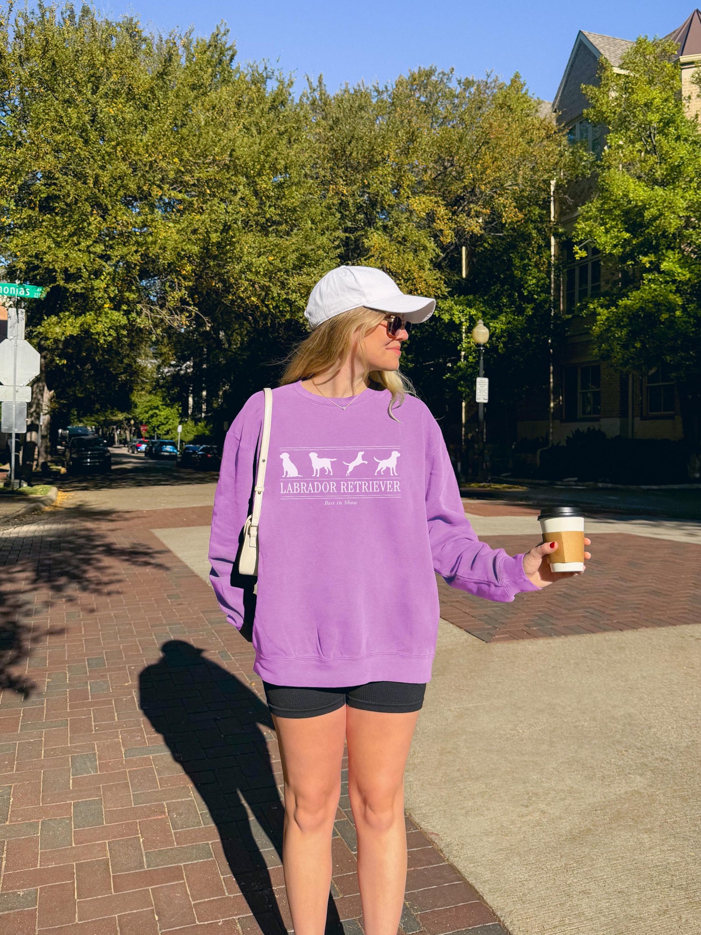 Labrador Retriever Sweater V5