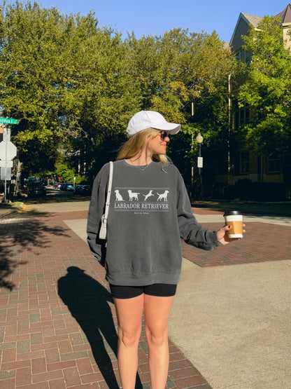 Labrador Retriever Sweater V5