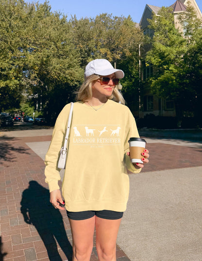 Labrador Retriever Sweater V5