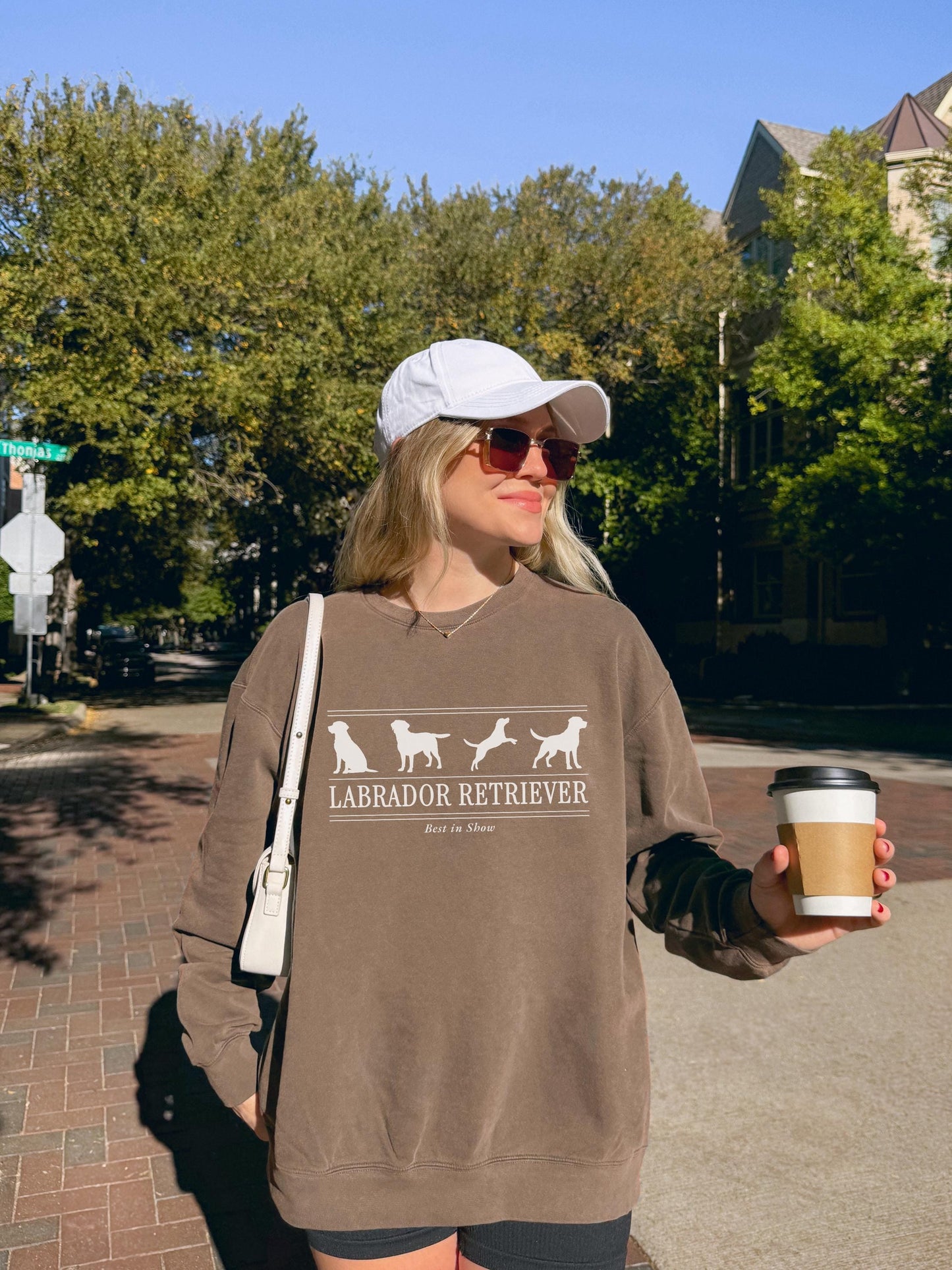 Labrador Retriever Sweater V5