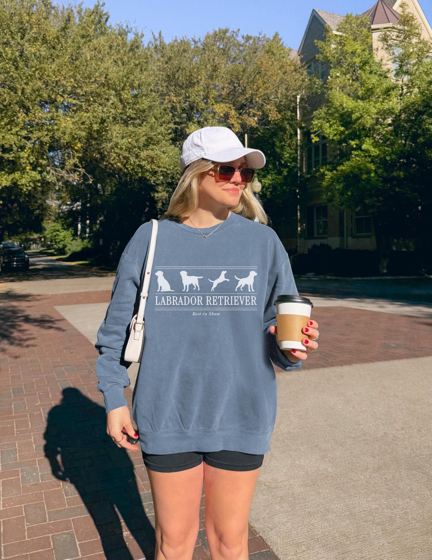Labrador Retriever Sweater V5
