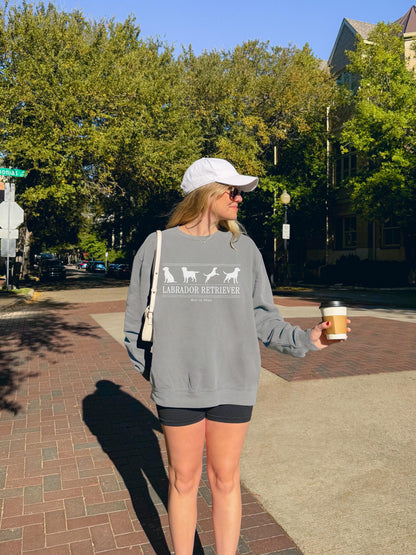 Labrador Retriever Sweater V5