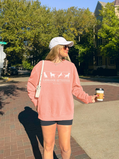 Labrador Retriever Sweater V5