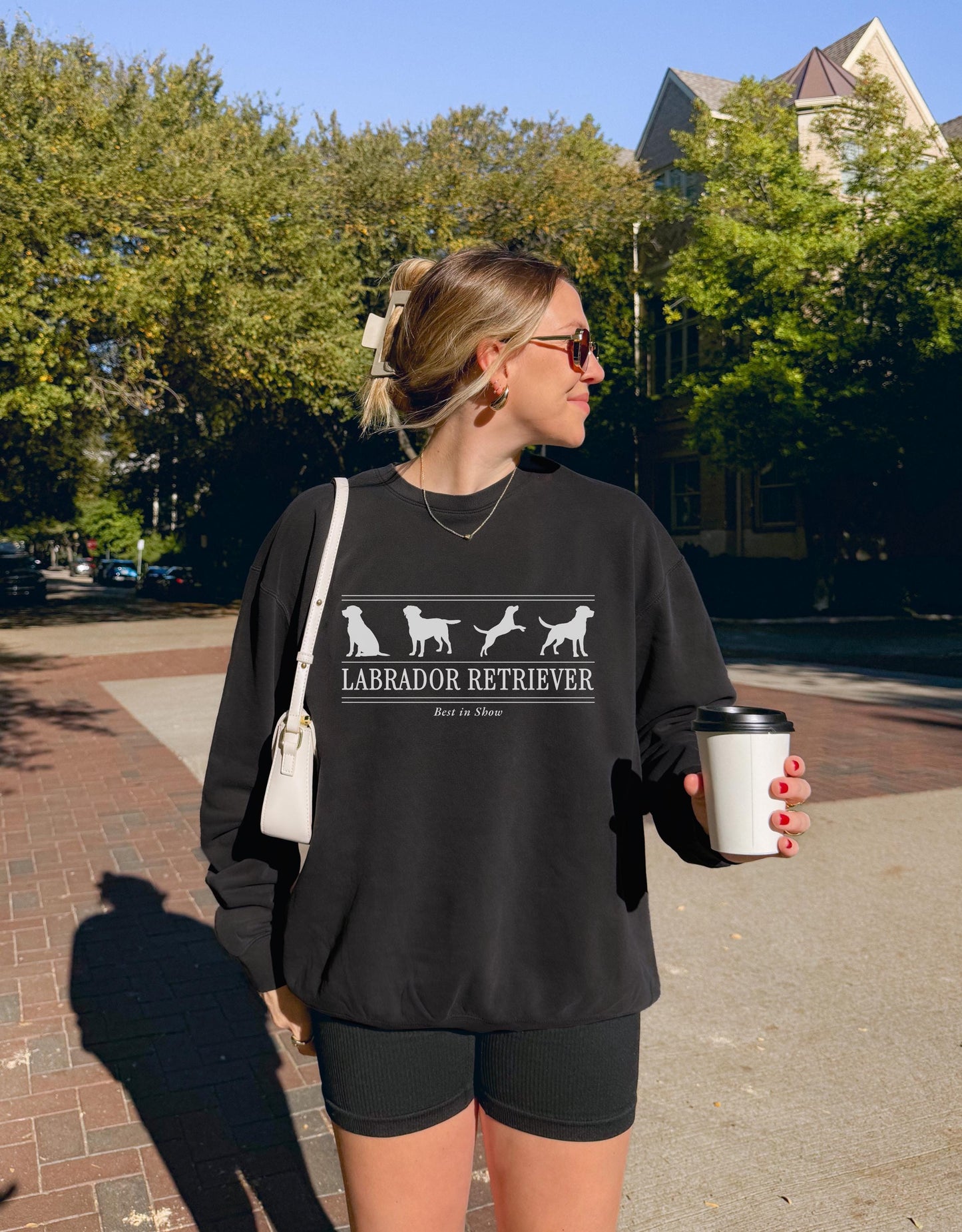 Labrador Retriever Sweater V5