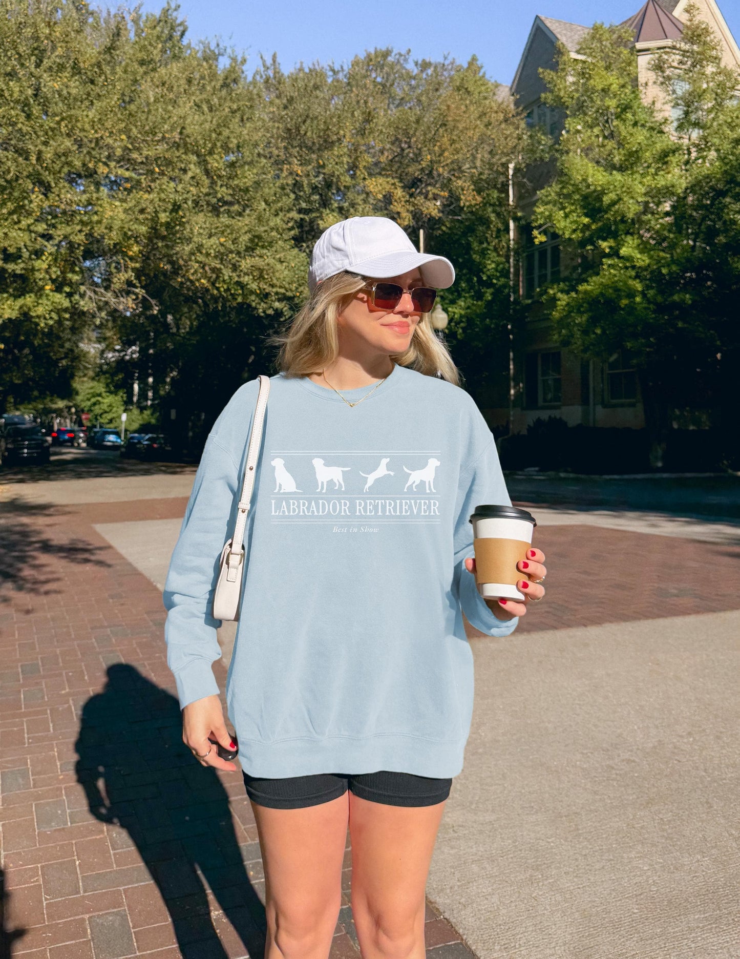 Labrador Retriever Sweater V5
