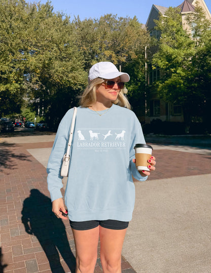 Labrador Retriever Sweater V5