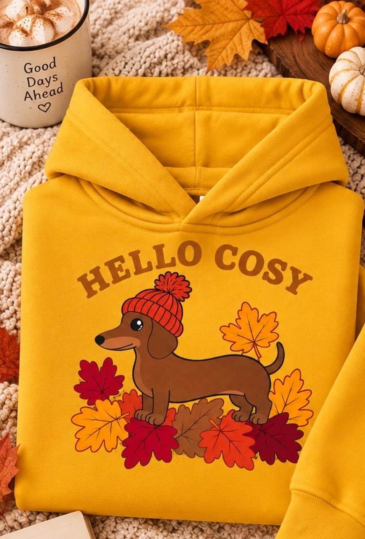Cozy Dachshund Hoodie